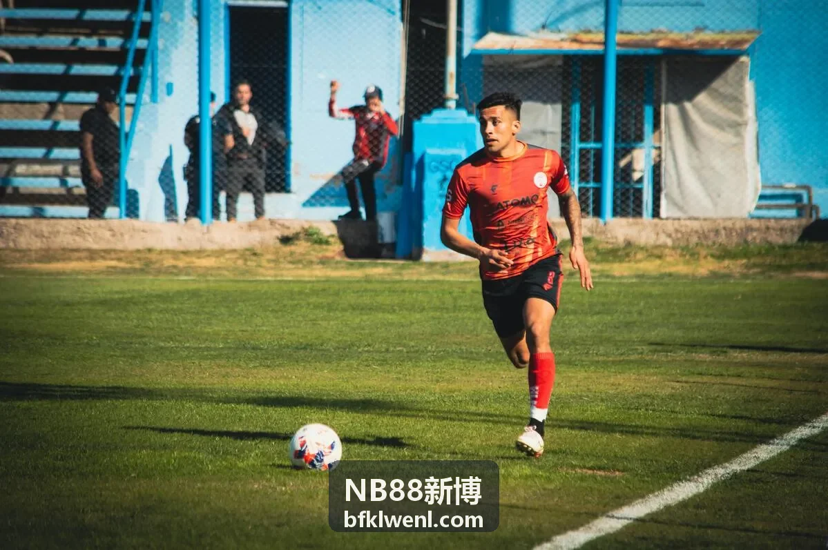 NB88新博增长决策面板